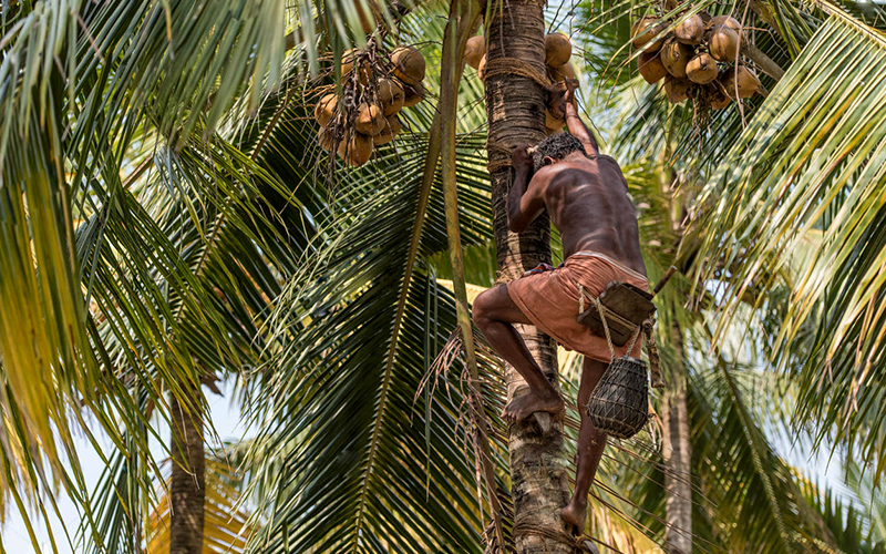 Sri Lanka